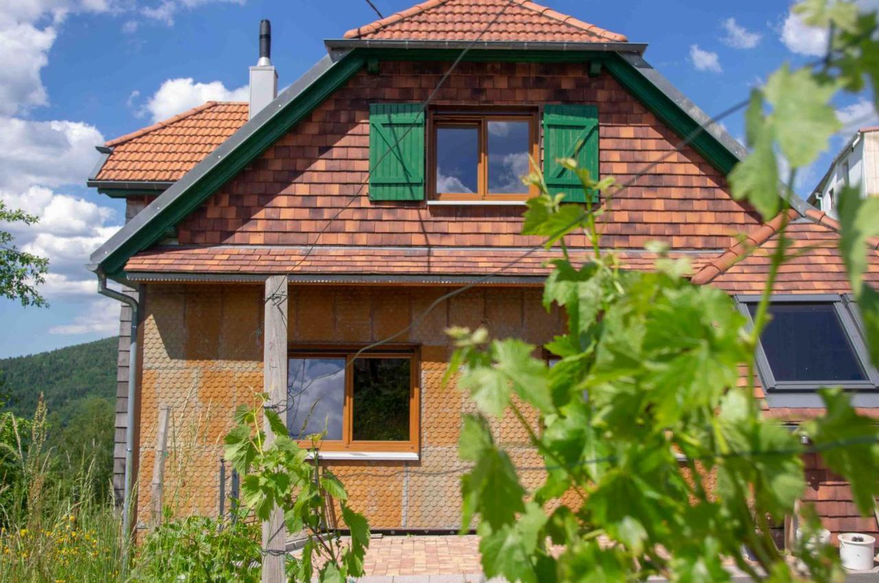 Le Gite Du Wildbach Wildersbach Eksteriør billede